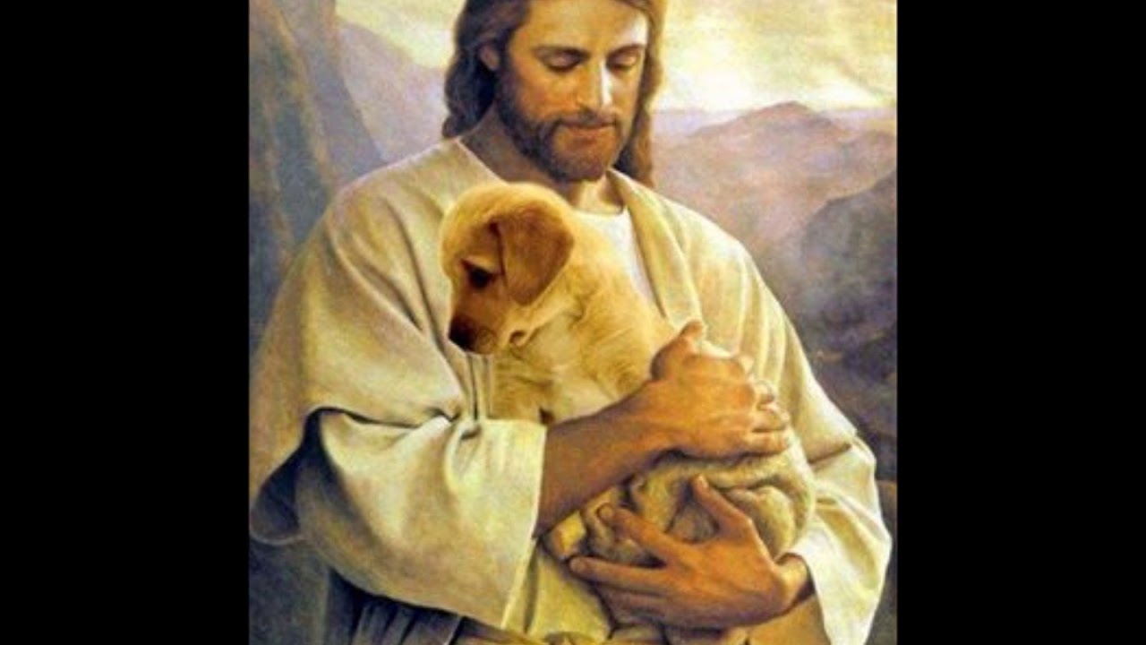 Oração de São Lázaro pelos animais