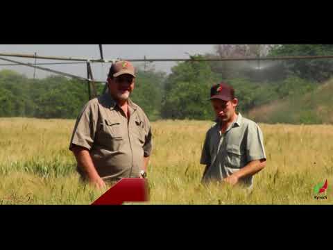 Suksesstorie Video 3, Noordwes