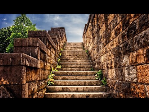 Din treaptă-n treaptă - Nicolae Moldoveanu