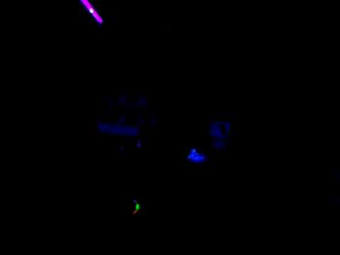 Davie Forbes @ Temper Temper!!!! 06/12/08