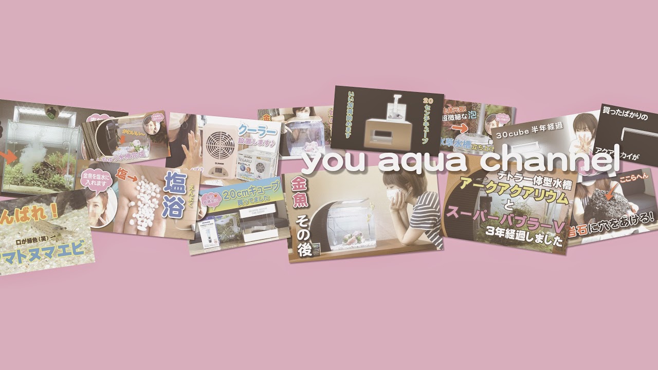 【ライブ】2023年が終わりますね～