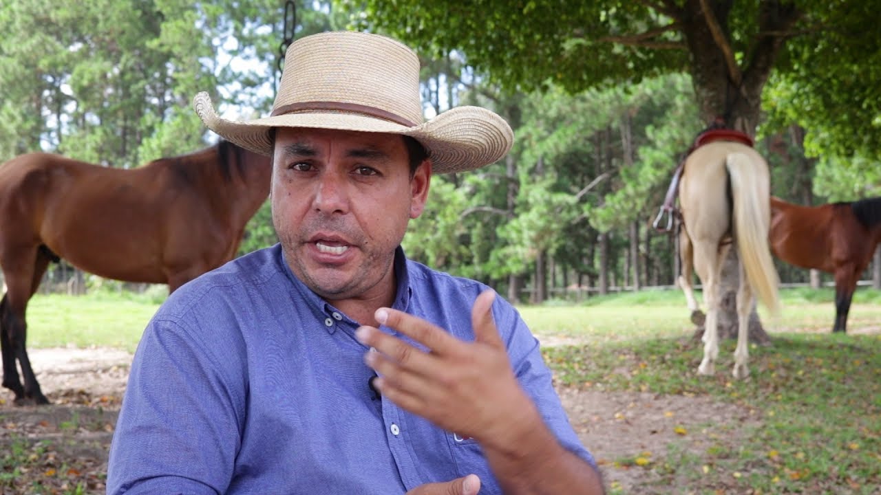 TV UC - Guloseimas para cavalos, dar ou não dar?