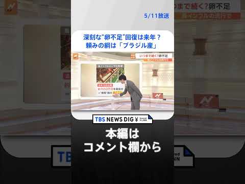 最近産んだ鶏の卵が異臭を放つのはなぜですか?誰のせいですか？  庭園
