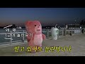 Clip 2