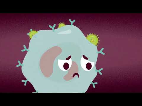 Understanding HIV and its treatment