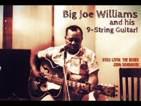 Big Joe Williams and His Unique 9-String Guitar