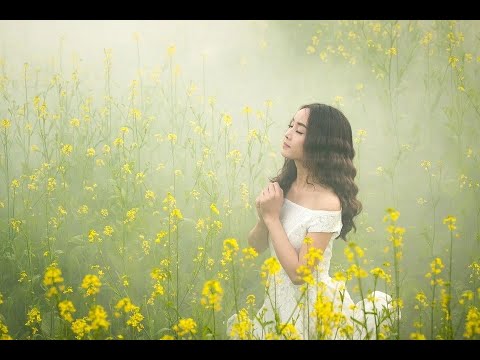 Orações e salmos para alimentar a alma e acalmar os pensamentos #81