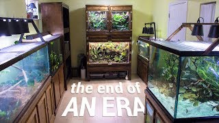 My Last Animal Room Tour &amp; Update (Summer 2018)