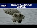 Deadly Alligator Attack In Florida FWC Officials Give Update