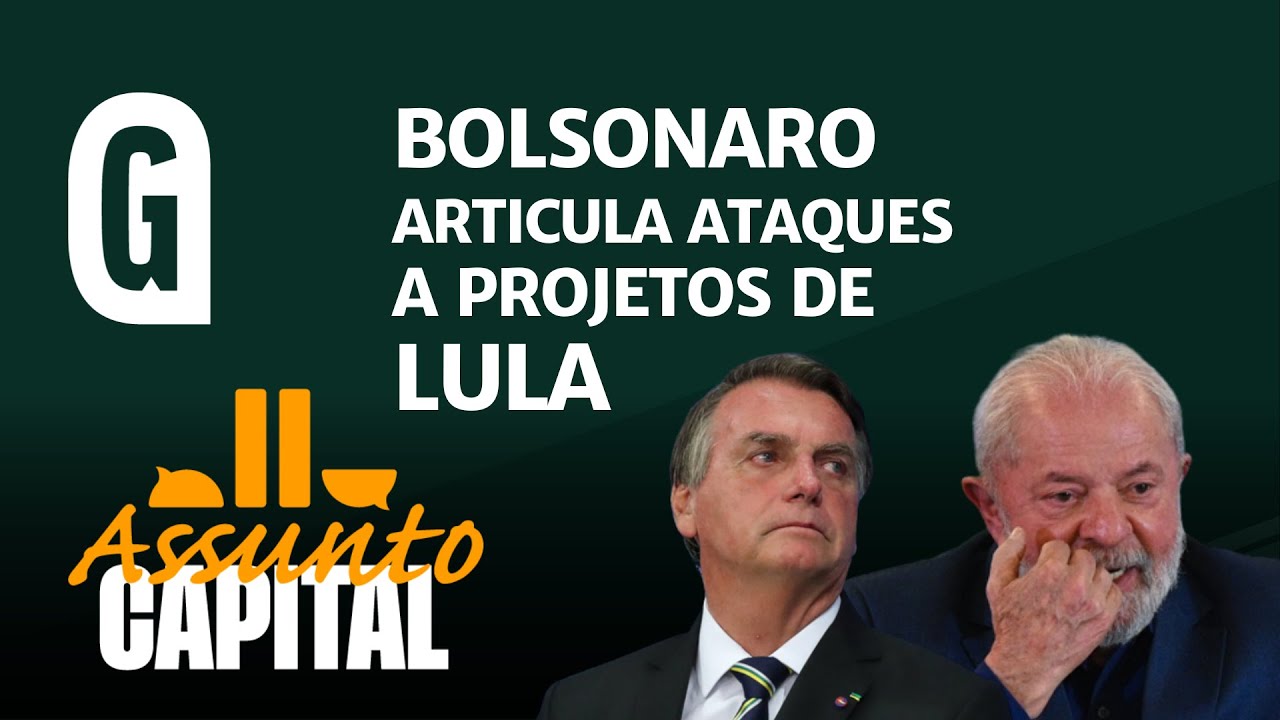Bia Kicis: como o bolsonarismo pode organizar a oposição
