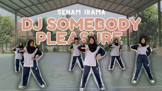 Download lagu SENAM IRAMA Dj Somebody Pleasure mp3