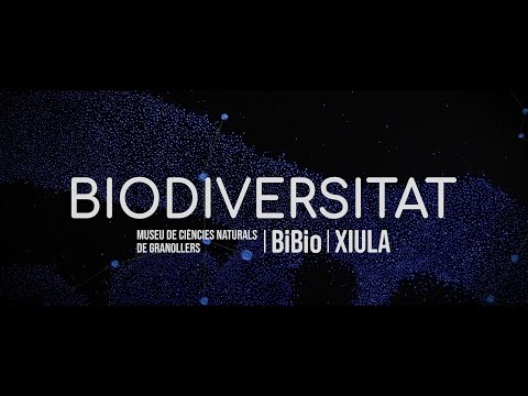 BIODIVERSITAT - Cançons per la biodiversitat (sub. CAT)