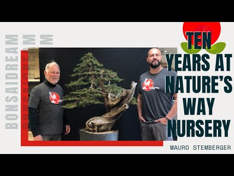 Ten years at Nature’s Way Nursery