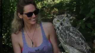 "go! Island" Visits the Raptors - Shaw TV Duncan