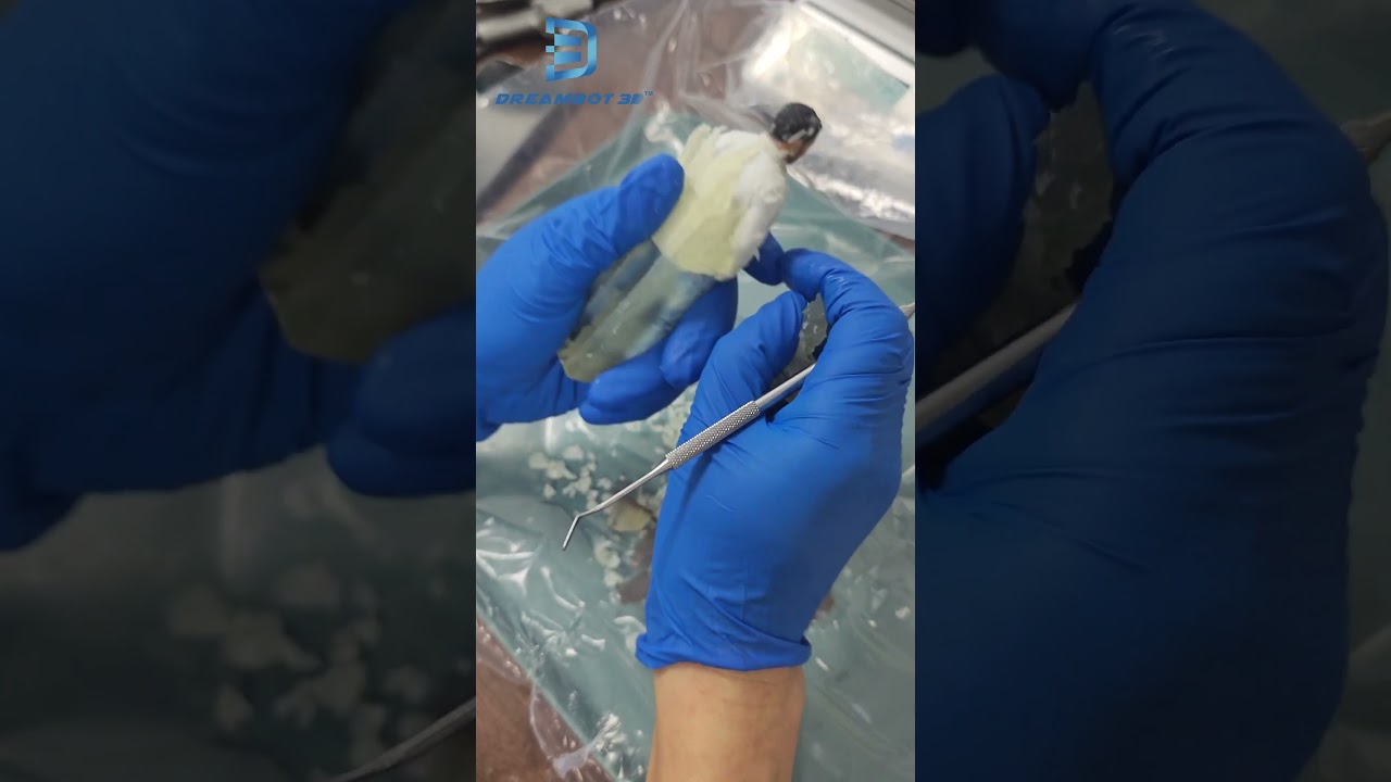 From scan to model in minutes—capture details with precision and bring ideas to life instantly! 🚀