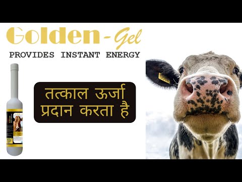 Calcium gel for cattel, packaging type: bottle, packaging si...