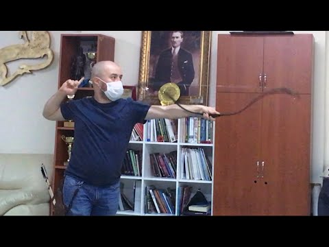 Mamluk school archery practice and khatra (hatra) study.  "Turkish Archery"