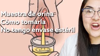 Muestra de orina. Cómo tomar la muestra correctamente Qué pasa si no tengo envase estéril