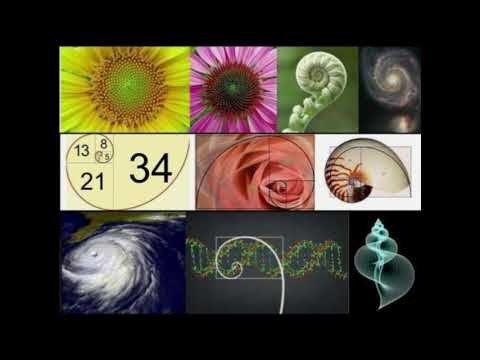 The Honorable Harvest, Addressing Climate Change and Cultural Appropriation with Robin Wall Kimmerer