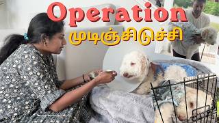 Surgery Sleepless Days ~We are so much worried if she is going to recover fast~ Family Traveler VLOG