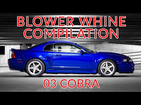 Supercharger Whine Compilation | 03 SVT Cobra - Eaton & Whipple