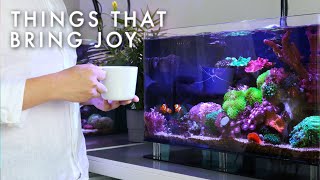 The Little Things That Bring Me Joy | Blue Reef Tank