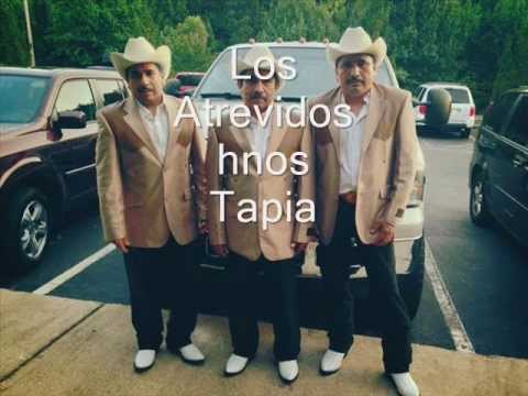 los atrevidos hnos tapia;mi linda guerita