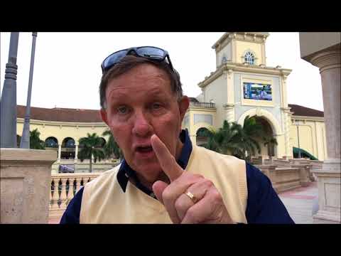 Feb 3 Holy Bull Day Highlights