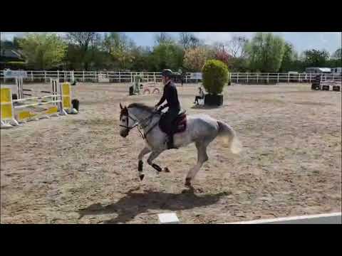 Cowboy Van Overis Z - Show Video