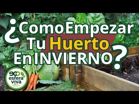 Winter Garden Start: 8 Easy Steps for Spring Harvests