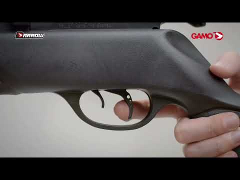 GAMO ARROW PCP