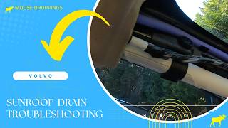Volvo Sunroof Drain Inspection & Leak Troubleshooting - Where is the water coming from? We explain!