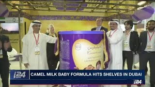 Would you feed your baby camel milk? Dubai producer unveils first, on i24NEWS