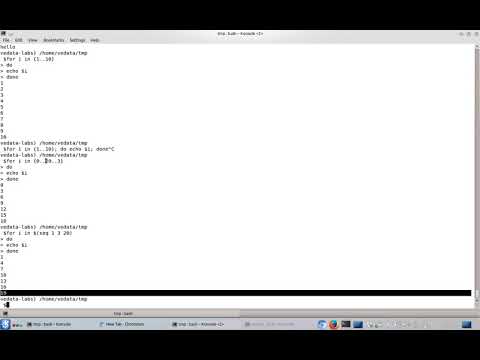 Various For Loop In Bash Shell