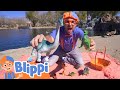 Blippi Visits A Dinosaur Exhibition Learn About Dinosaurs Fun And Educational Videos For Kids