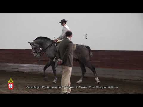 210202 9 Liopele - Aprovação de Garanhões