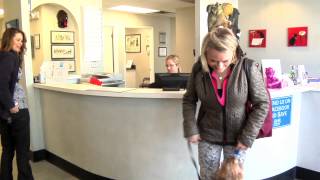 preview picture of video 'Welcome to North Laurel Animal Hospital'