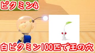 ピクミン4 王の穴を白ピクミンほぼ100匹で攻略してみた 帰還なしアイテム未使用(6階は例外)