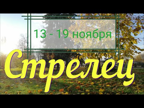 СТРЕЛЕЦ ♐️с 13 по 19 ноября.