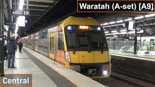 Sydney Trains Waratah (A-set) [A9] at Central