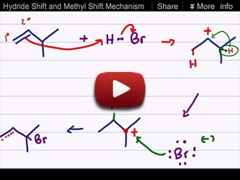 Hydride Shift and Methyl Shift Mechanism