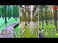 Luyang Lake Wetland Park - A Floating Forest In China