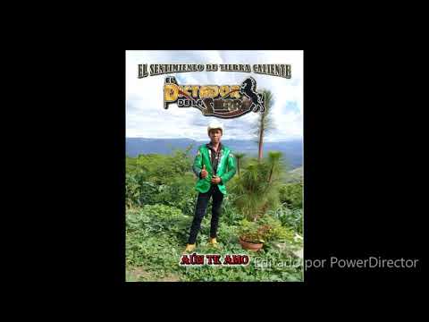 Los Habanales - El Dictador De La Sierra 2020