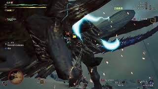 モンスターハンターワイルズβテスト　レダウ