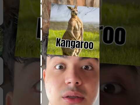 HANGİ HAYVANI 1V1 DE YENERSİN SIRALAMASI !?