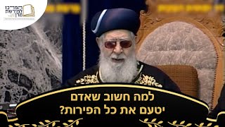 למה חשוב שאדם יטעם את כל הפירות? - מרן רבינו עובדיה יוסף זצ''ל (מורשת מרן) - התמונה מוצגת ישירות מתוך אתר האינטרנט יוטיוב. זכויות היוצרים בתמונה שייכות ליוצרה. קישור קרדיט למקור התוכן נמצא בתוך דף הסרטון
