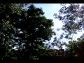 Aural Float - Perspectives (Life in Dub remix)