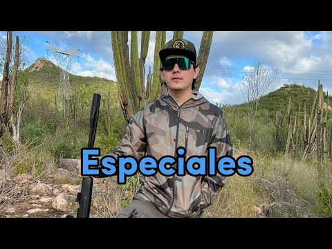 "Especiales" Pantera De Culiacán Sinaloa