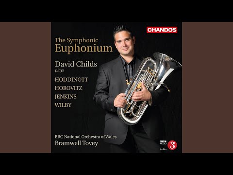 Concerto for Euphonium and Orchestra: I. Non troppo allegro - A tempo preciso - Poco più mosso