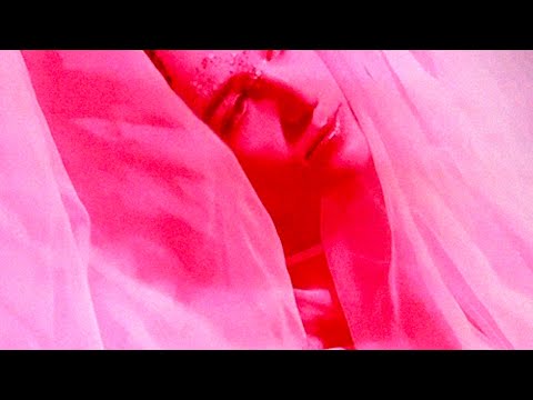 Video thumbnail for SOTTOPELLE